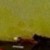 Profile picture of jens24 bi curius