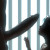 Profile picture of Hailey